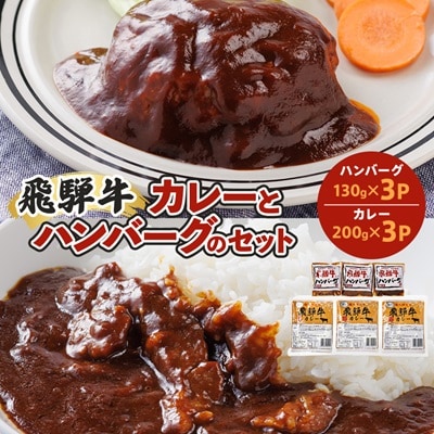 飛騨牛入り製品詰め合わせ