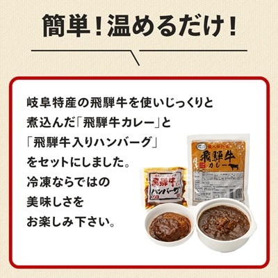 飛騨牛入り製品詰め合わせ