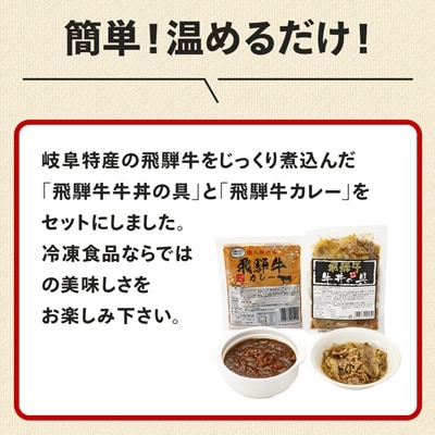 飛騨牛牛丼の具とカレーのセット