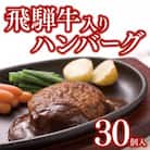 飛騨牛入りハンバーグ30個セット