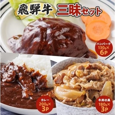 【2ヵ月毎定期便】飛騨牛三昧(ハンバーグ・カレー・牛丼の冷凍食品3種セット)全3回