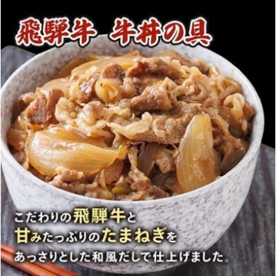 【2ヵ月毎定期便】飛騨牛三昧(ハンバーグ・カレー・牛丼の冷凍食品3種セット)全3回