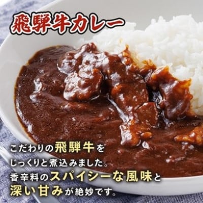 【2ヵ月毎定期便】飛騨牛三昧(ハンバーグ・カレー・牛丼の冷凍食品3種セット)全3回