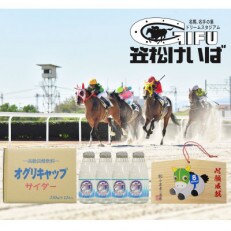 オグリキャップサイダー 350ml×12本 オグリキャップオリジナル絵馬緑メンコ(大)付き