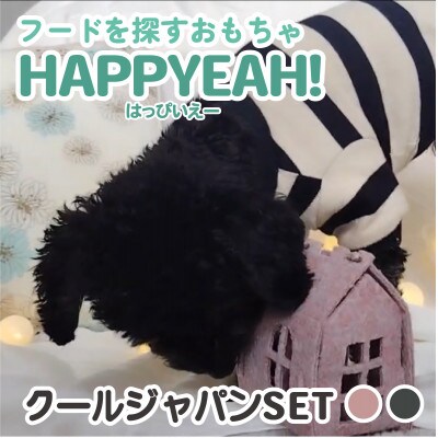 【2025年3月上旬発送】犬用フード探しおもちゃ　HAPPYEAH!(クールジャパンSET)