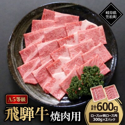 A5等級飛騨牛:焼肉用600g　ロース又は肩ロース肉