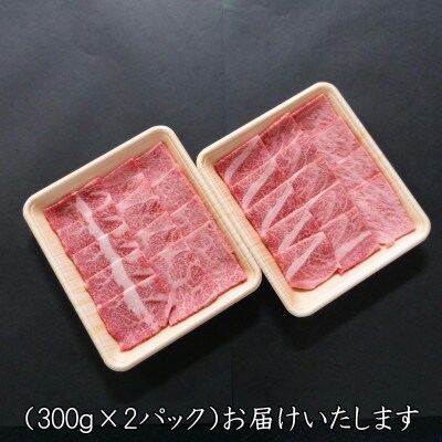 A5等級飛騨牛:焼肉用600g　ロース又は肩ロース肉
