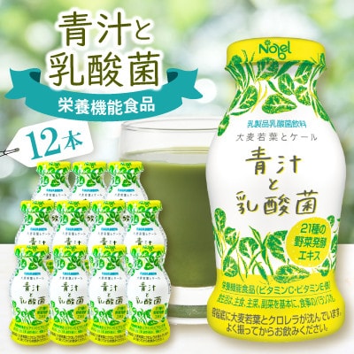青汁と乳酸菌　12本セット