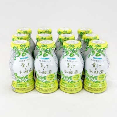 青汁と乳酸菌　12本セット