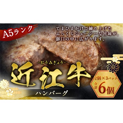 近江牛ハンバーグ　6個