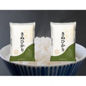 2023年4月発送開始『定期便』【近江米】愛荘町産　きぬひかり10kg(5kg×2) 全3回