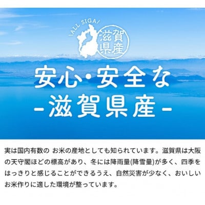 【令和7年産含む】 近江ブレンド米 20kg 愛荘町産 白米