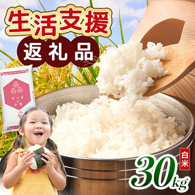 �y�ߘa7�N�Y�܂ށz �ߍ]�u�����h�� 30kg �������Y ����