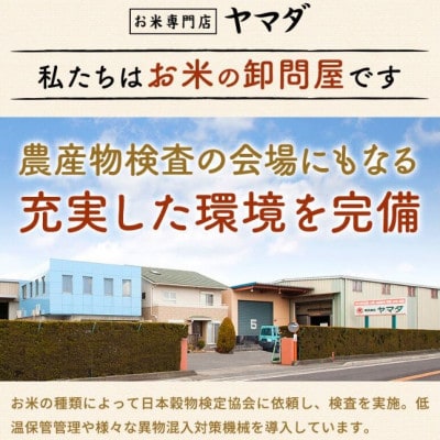 【令和7年産含む】 近江ブレンド米 30kg 愛荘町産 白米
