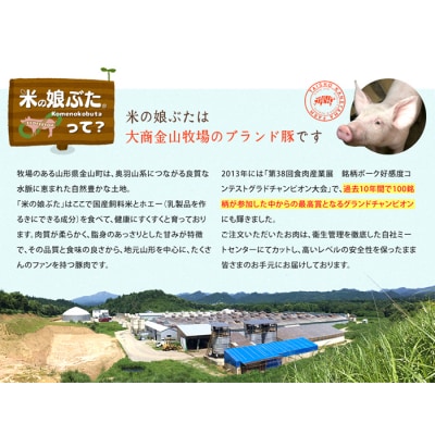 定期便 米の娘ぶた 焼肉セット(ロース300g・バラ300g・もも600g) F4B-0228