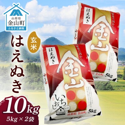 令和6年産 金山産米 はえぬき【玄米】(5kg×2袋) 計10kg F4B-0522