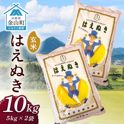 令和7年産 金山産米 はえぬき【玄米】(5kg×2袋) 計10kg F4B-0783