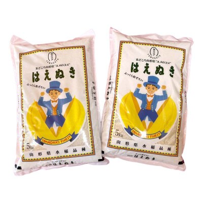 令和7年産 金山産米 はえぬき【玄米】(5kg×2袋) 計10kg F4B-0783