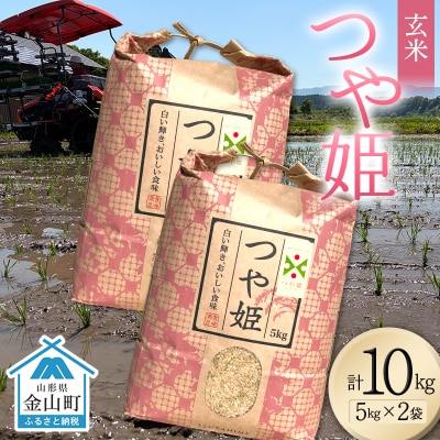<先行予約>令和8年産【玄米】つや姫マイスターの技を継承「つや姫」10kg F4B-0768
