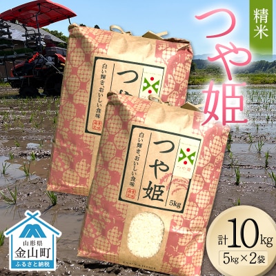 <先行予約>令和8年産【精米】つや姫マイスターの技を継承「つや姫」10kg F4B-0766