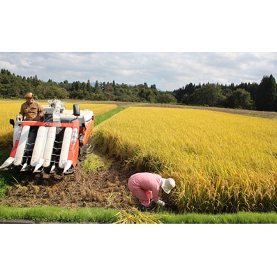 【令和6年産米 定期便】金山産米「つや姫」2kg【精米】×6ヶ月 計12kg F4B-0519