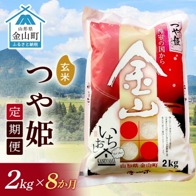 【2024年産米 定期便】金山産米「つや姫」2kg【玄米】×8ヶ月 計16kg F4B-0505