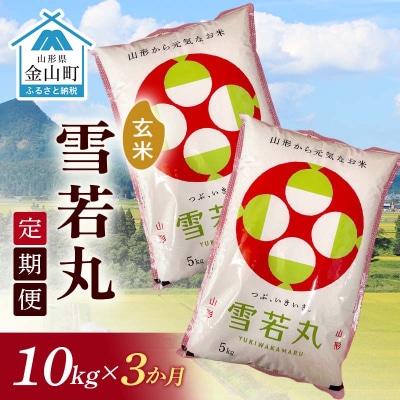 令和7年産《定期便》金山産米 雪若丸【玄米】(5kg×2袋)×3ヶ月 計30kg F4B-0792