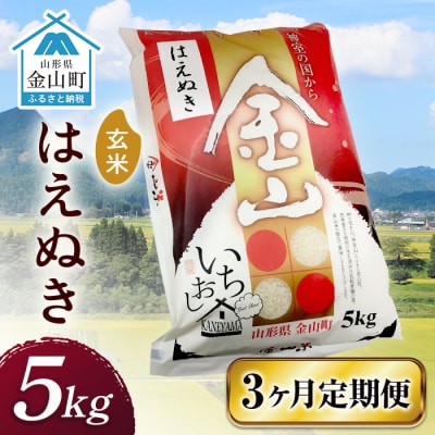 令和6年産《定期便》 金山産米 はえぬき【玄米】(5kg)×3ヶ月計15kg F4B-0525