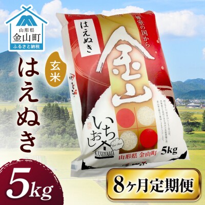 令和6年産《定期便》 金山産米 はえぬき【玄米】(5kg)×8ヶ月計40kg F4B-0527