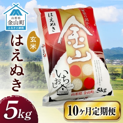 令和6年産《定期便》 金山産米 はえぬき【玄米】(5kg)×10ヶ月計50kg F4B-0528