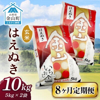 令和6年産《定期便》 金山産米 はえぬき【玄米】(5kg×2袋)×8ヶ月計80kg F4B-0529