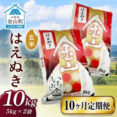 令和6年産《定期便》 金山産米 はえぬき【玄米】(5kg×2袋)×10ヶ月 F4B-0530