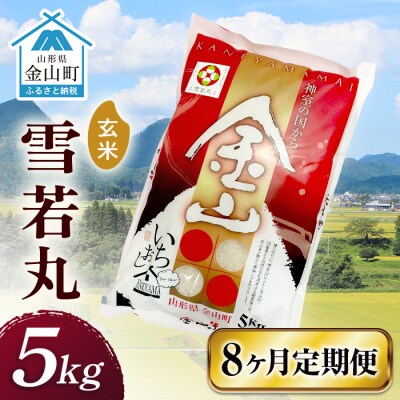 令和6年産 定期便 金山産米 雪若丸【玄米】(5kg)×8ヶ月 定期便 F4B-0545