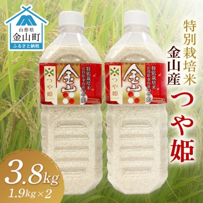 《令和7年産 先行予約》 金山産米「つや姫1.9kg」×2本セット F4B-0583