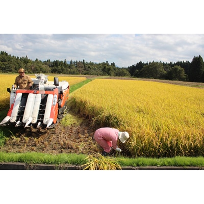 令和7年産 金山産米「つや姫5kg」+「はえぬき5kg」【精米】 計10kg 白米 F4B-0725