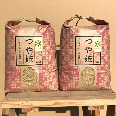 定期3回 令和5年産 【玄米】「つや姫マイスター」が作った「つや姫」(10kg) F4B-0369