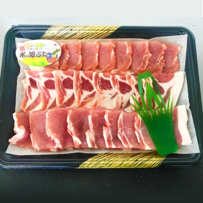 【定期便】米の娘ぶた&山形牛A5ランク「焼肉セット」×3ヶ月 F4B-0151