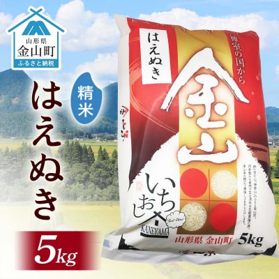 令和7年産 金山産米 はえぬき 【精米】(5kg)米 お米 白米 ご飯 精米 F4B-0641