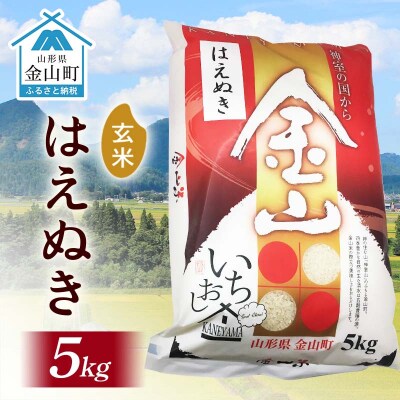 令和6年産 金山産米 はえぬき 【玄米】(5kg) F4B-0563