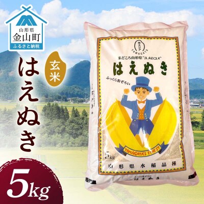 令和7年産 金山産米 はえぬき 【玄米】5kg F4B-0781