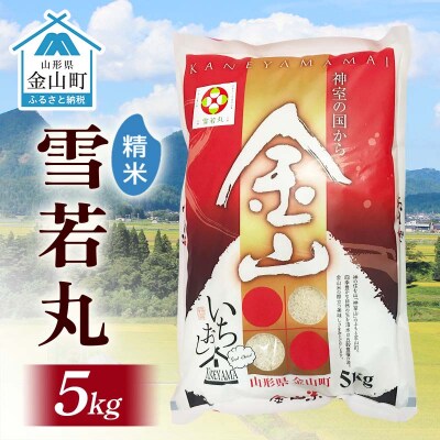 令和7年産 金山産米「雪若丸【精米】」5kg お米 白米 ご飯  ブランド米 F4B-0719