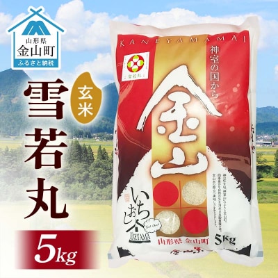 令和6年産 金山産米 雪若丸 【玄米】(5kg) F4B-0565