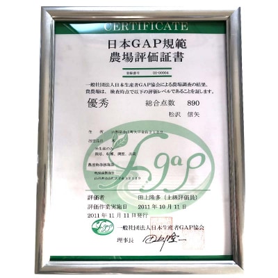<先行受付> 令和7年産【精米】「つや姫マイスター」が作った「はえぬき」(5kg) F4B-0589