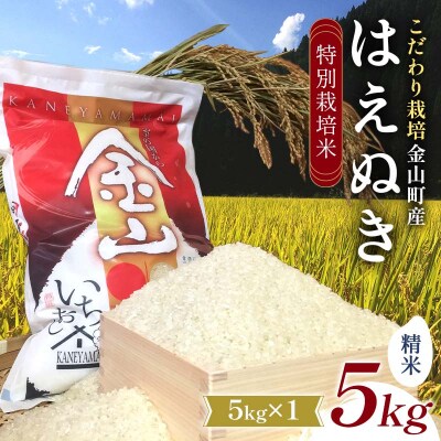 【先行受付 令和7年産】 金山町産 特別栽培米 はえぬき 精米 5kg 米 お米 F4B-0604
