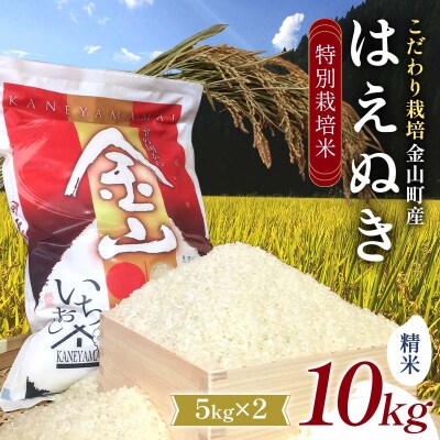 【先行受付 令和7年産】 金山町産 特別栽培米 はえぬき 精米 5kg×2 F4B-0605