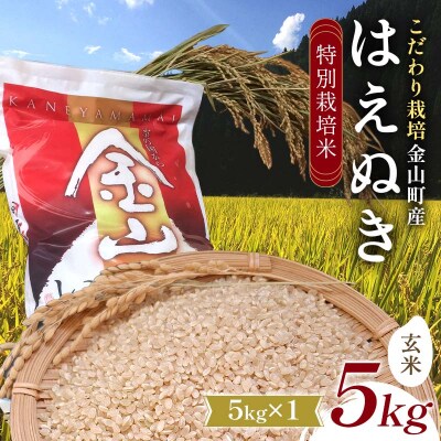 【先行受付 令和7年産】 金山町産 特別栽培米 はえぬき 玄米 5kg 米 お米 F4B-0607