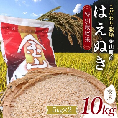 【先行受付 令和7年産】 金山町産 特別栽培米 はえぬき 玄米 5kg×2 F4B-0608