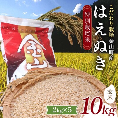 【先行受付 令和7年産】 金山町産 特別栽培米 はえぬき 玄米 2kg×5 F4B-0609