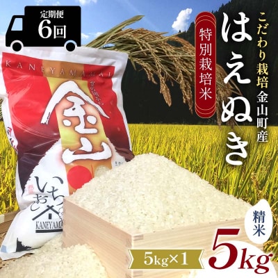 【令和7年産】定期6回 金山町産 特別栽培米 はえぬき 精米 5kg F4B-0623