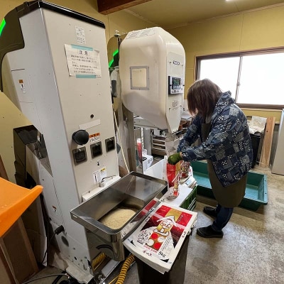 【令和7年産】定期6回 金山町産 特別栽培米 はえぬき 精米 5kg F4B-0623